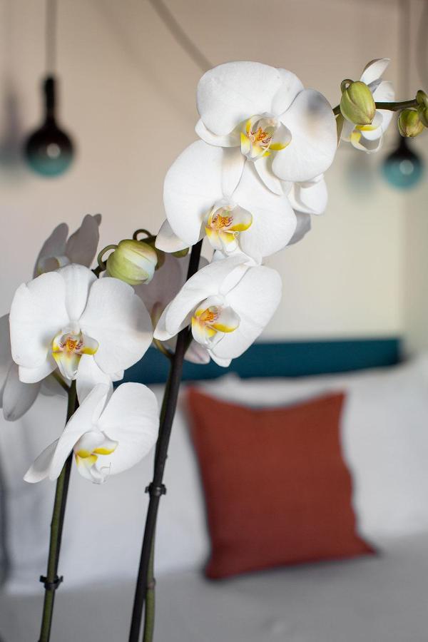 Apartahotel Casa Do Torel - Suites Designs Au Coeur De Lisbonne *